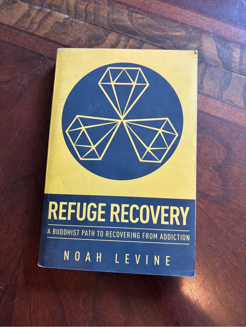 Harper Yellow and Navy Refuge Recovery by Noah Levine